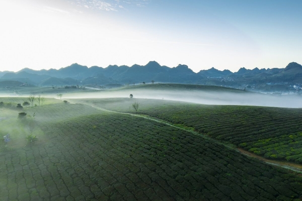 11 Days / 10 Nights -Sapa TuLe  MuCangChai MocChau PuLuong - photo 30